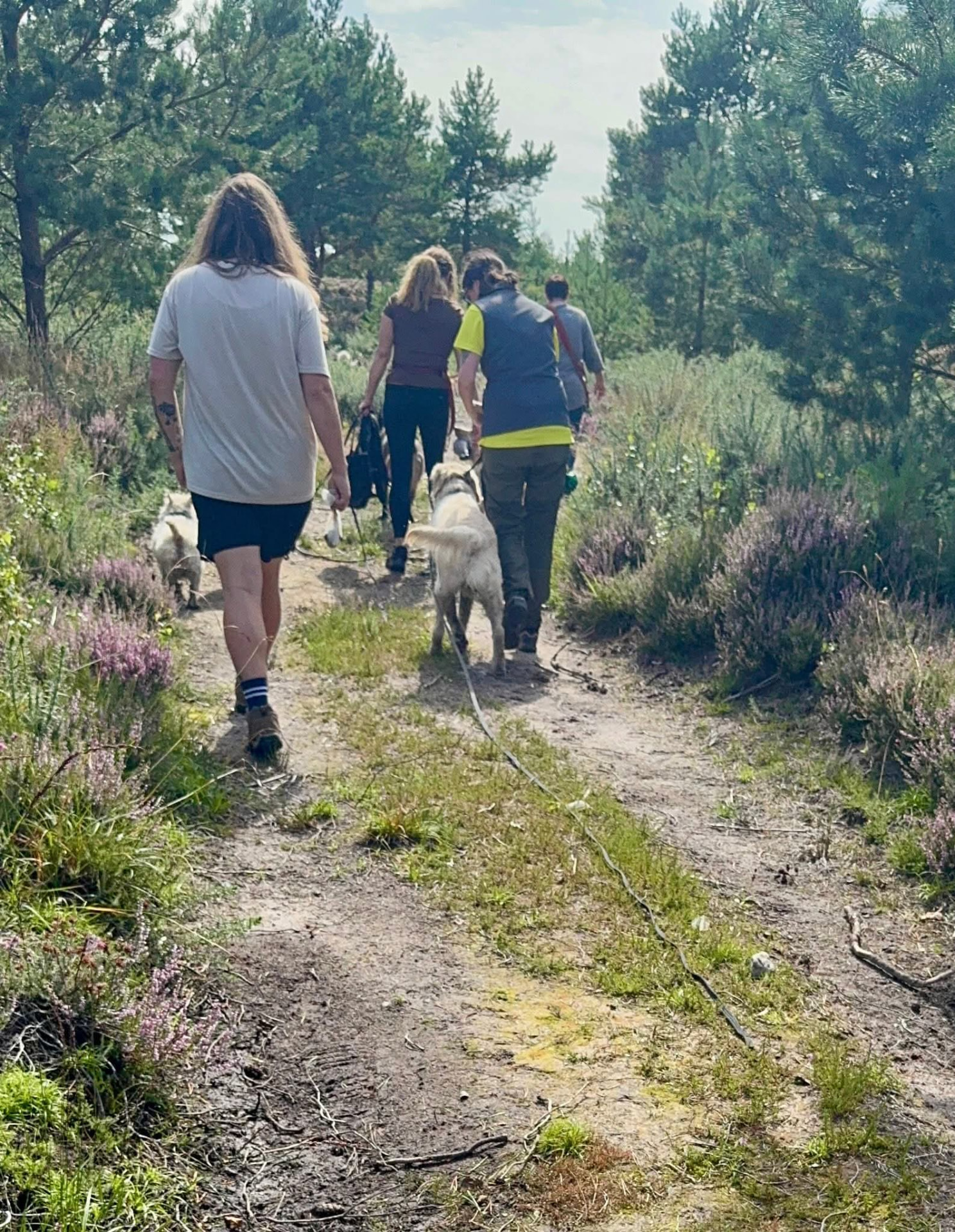Handler working a dog during a mentorship day