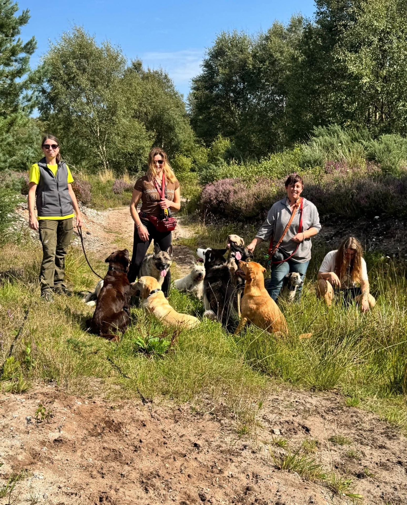 Mentorship session in the Scottish Highlands